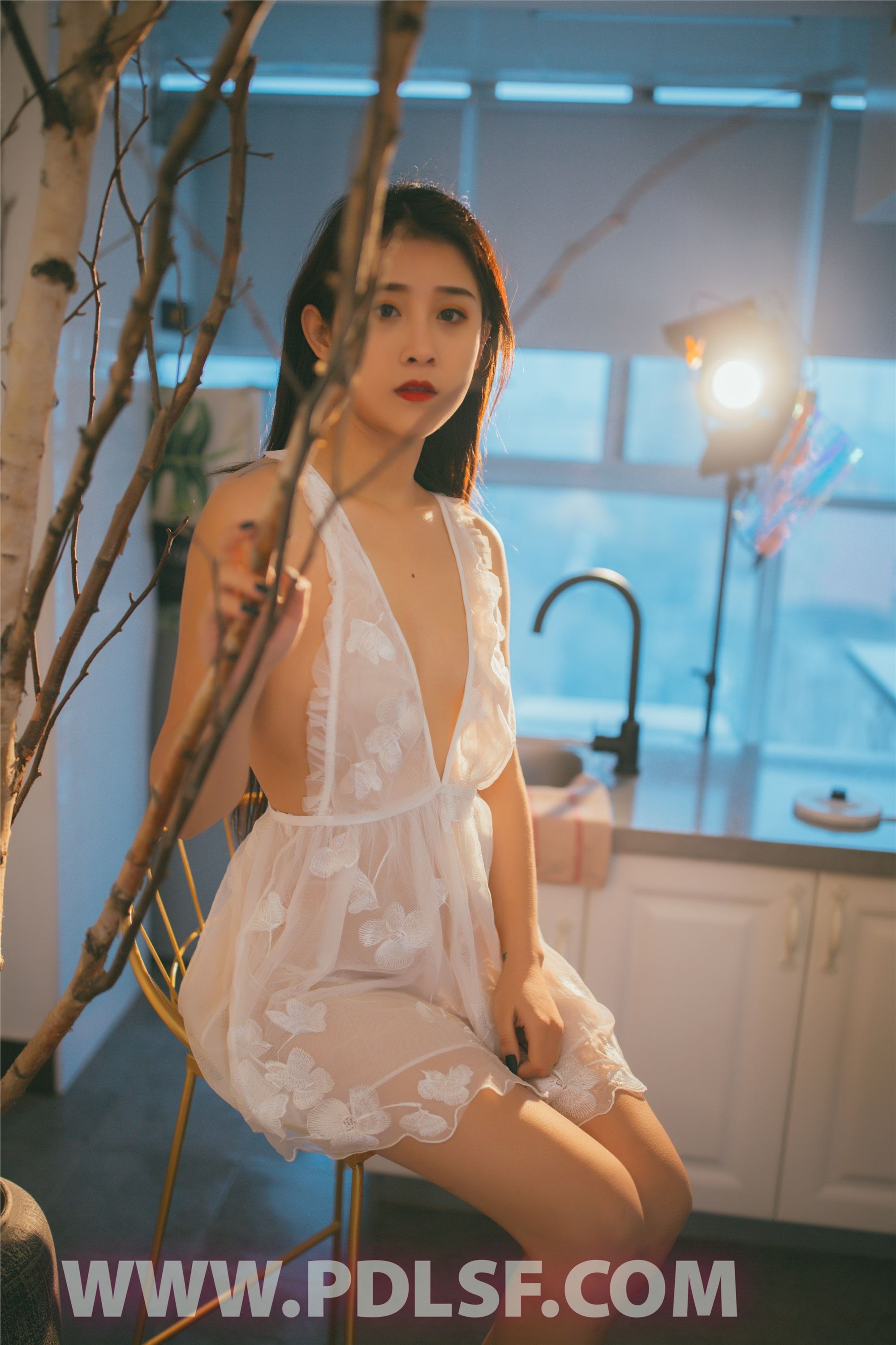 PDL潘多拉 2020.01.09 专辑No.264